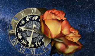 Astrological signs and flowers